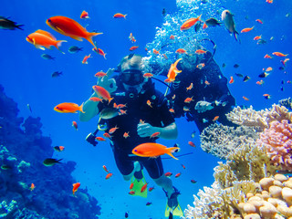 Strand- og dykkerferier i Egypten